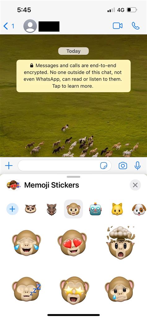 animoji whatsapp|WhatsApp Animoji 